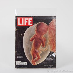 LARGE Life Magazine Sleeve